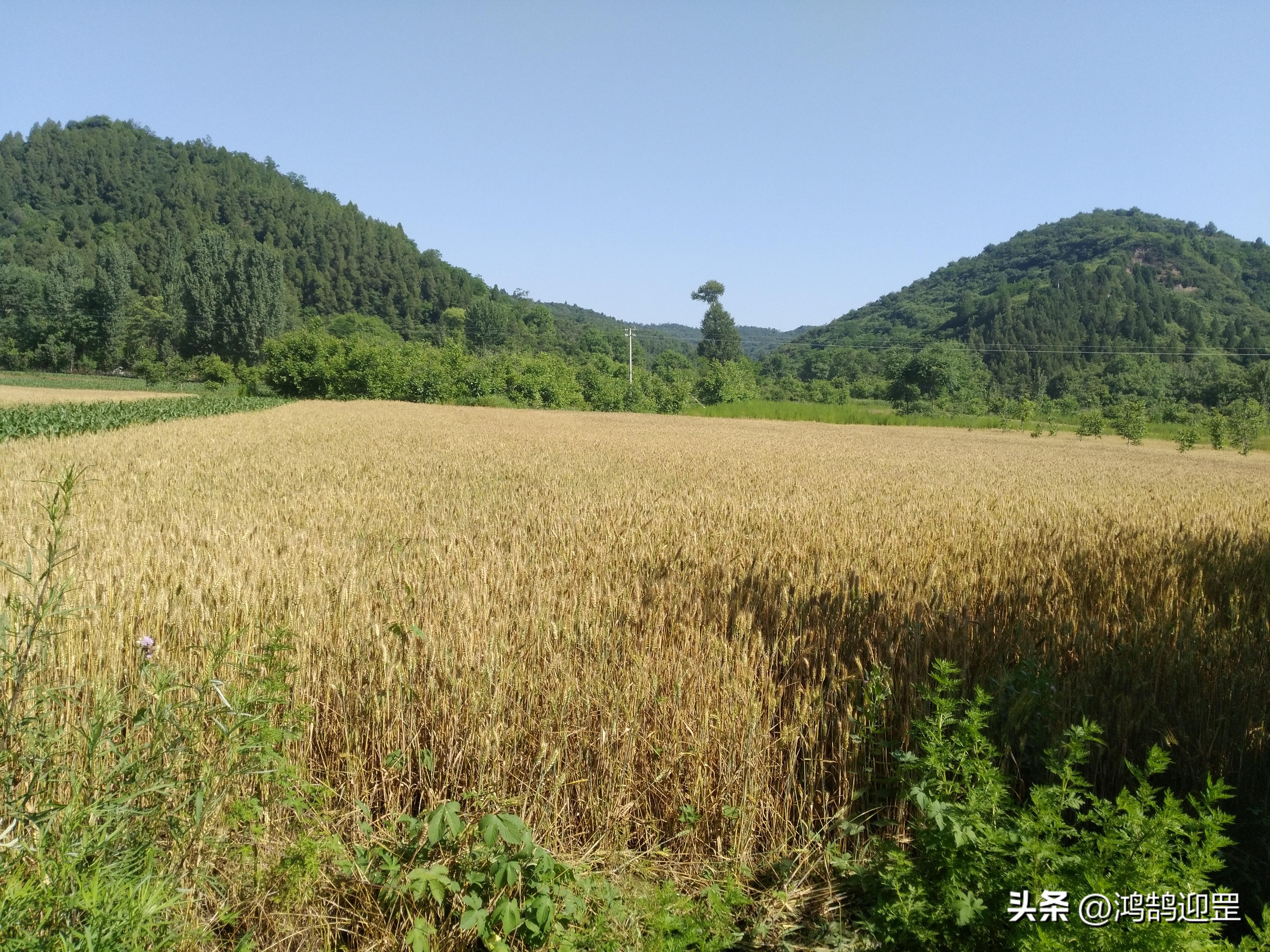 陕西方言中不同语调意思不一样,陕西方言与普通话中声母的区别