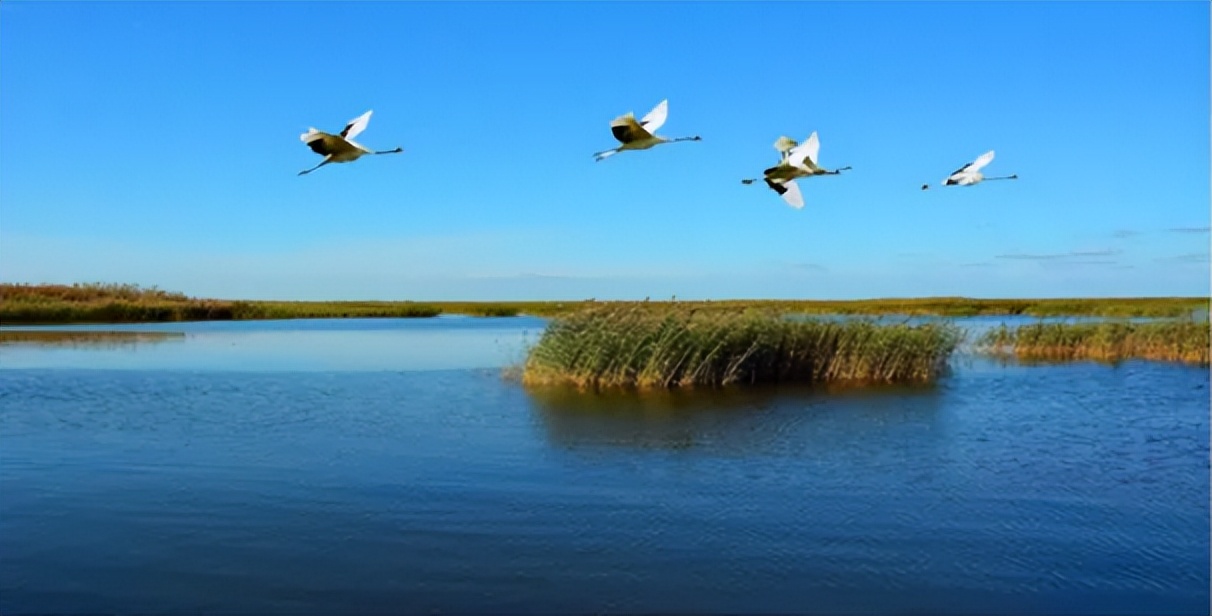 黄骅家乡事,故乡历史故事