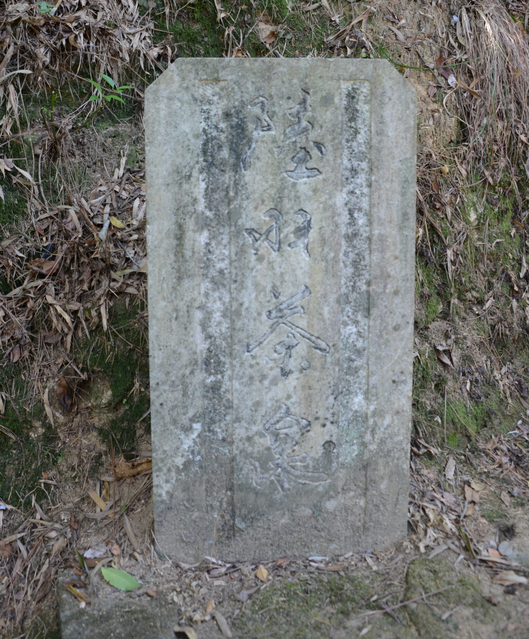 觅苏记,觅苏记宜兴海棠