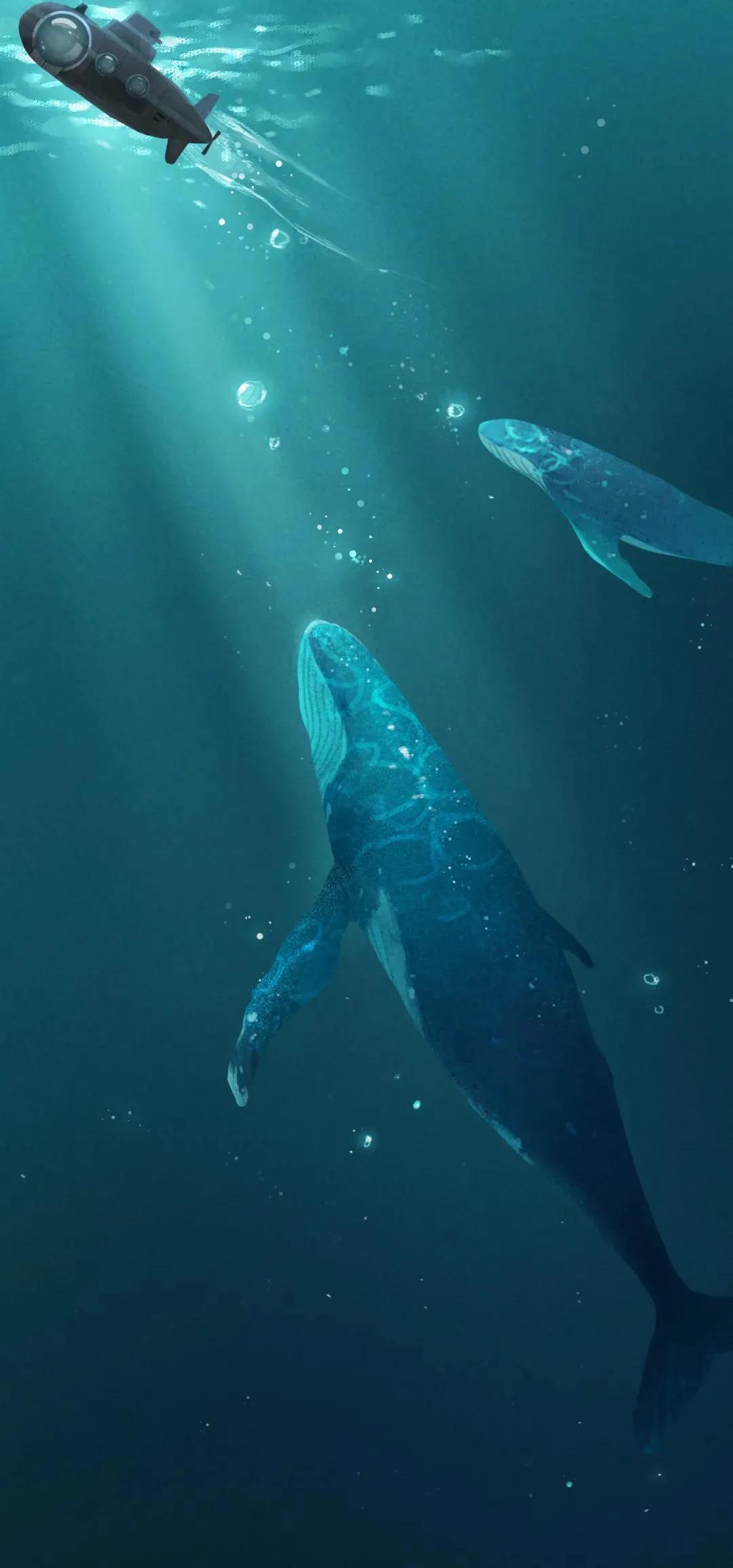 原图壁纸：Andriod手机挖孔壁纸,第一期