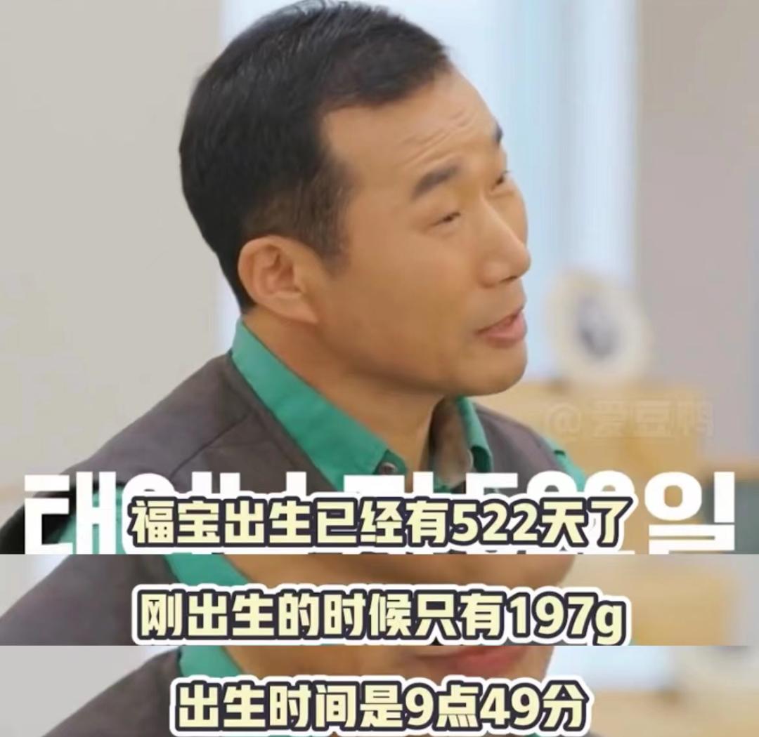 熊猫母女分开几年再次相见,熊猫母子分开后再次相见