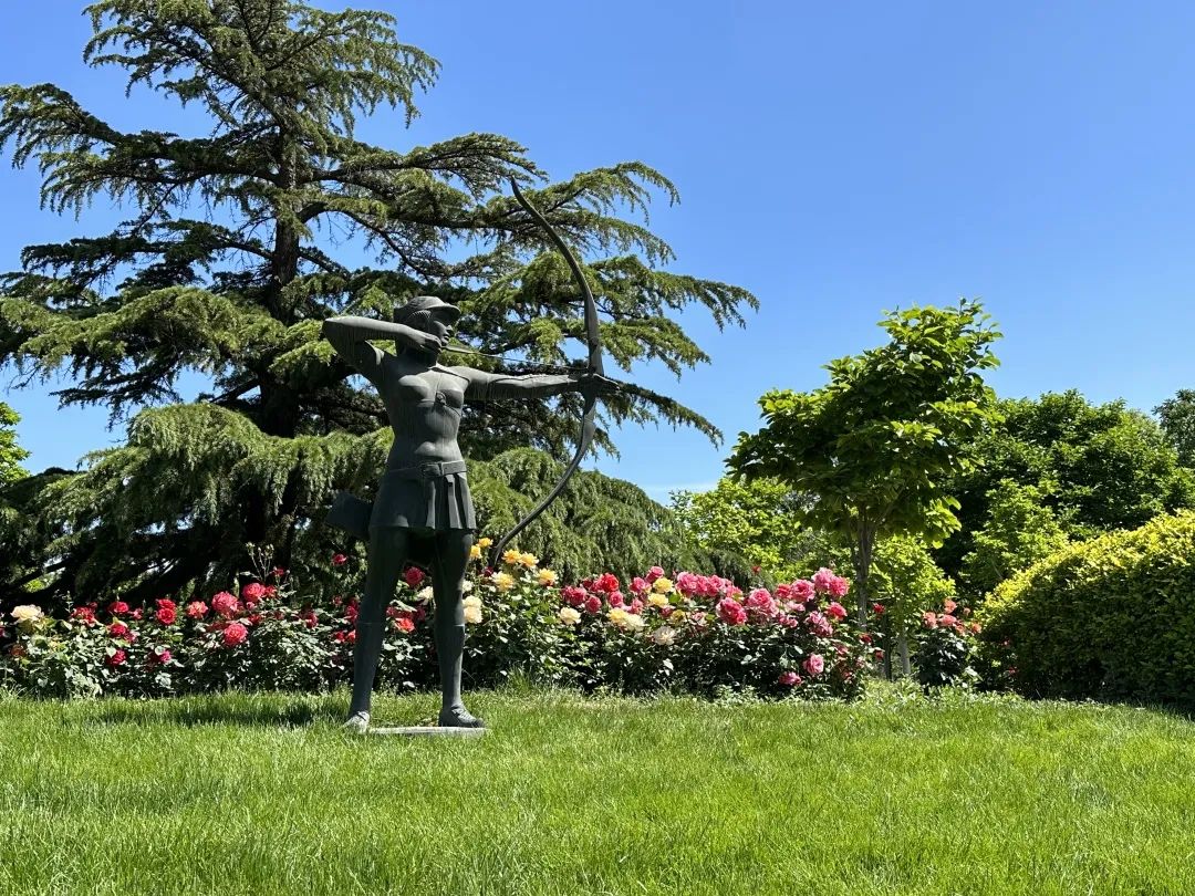 北京石景山国际雕塑公园开放了吗,漫步北京国际雕塑公园