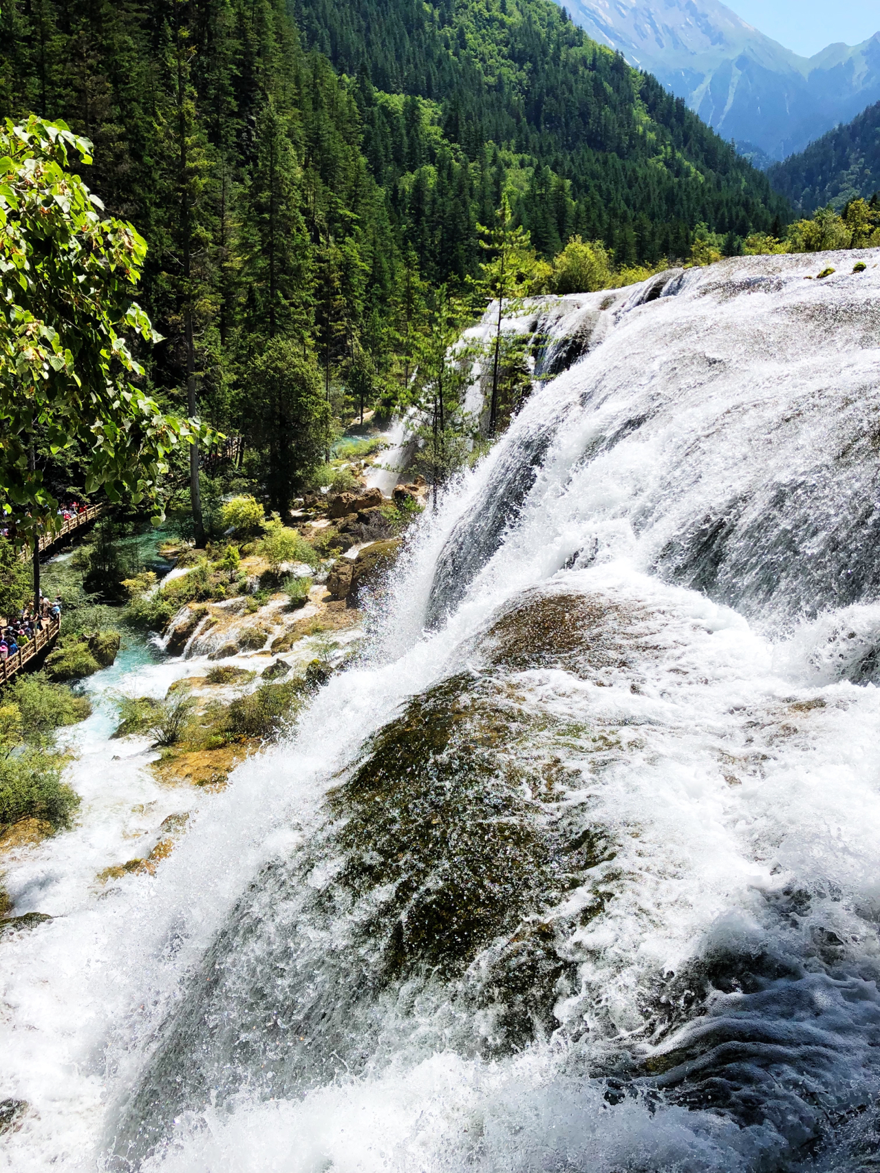 成都旅游3-4天攻略最佳线路三日游,成都出发五日旅游攻略