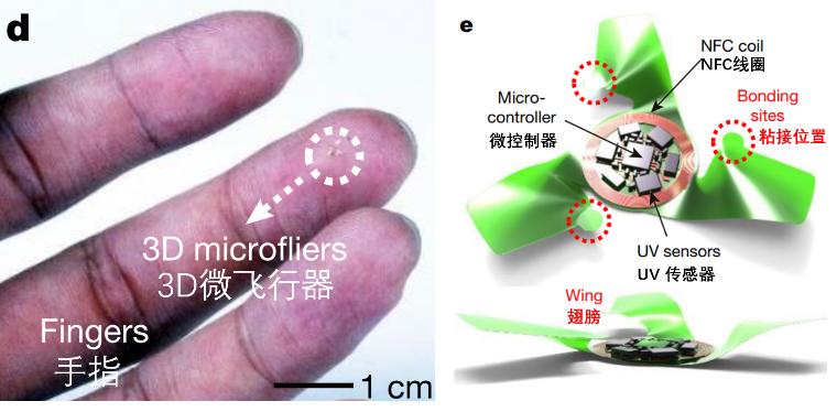 来看它们春风吹又“生”，“生”孩子的“生”！