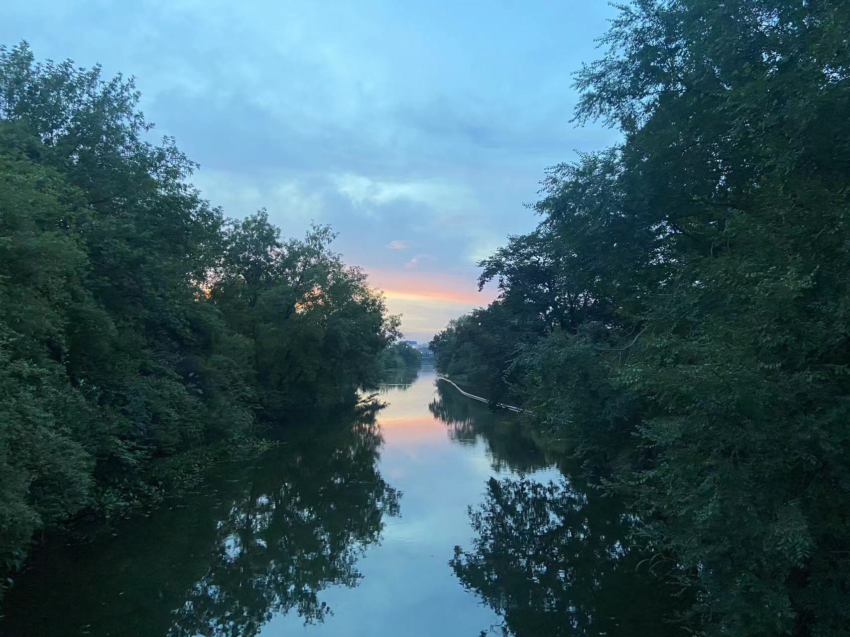 家里被虫咬又痒又痛,被虫子蛰了很痒