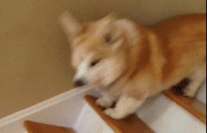 外卖差评快乐源泉,外卖差评内容全是好评