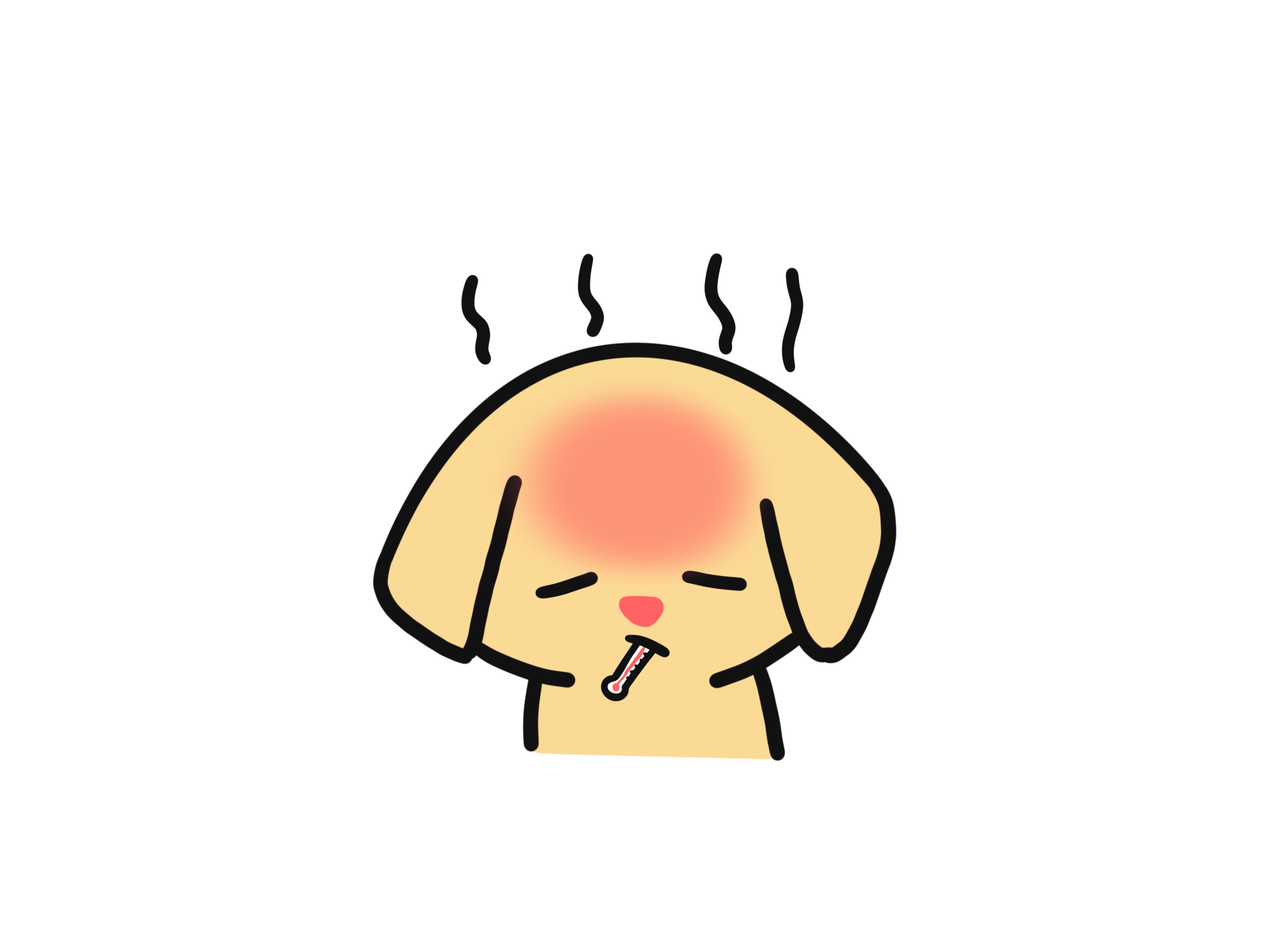 狗狗如何慢慢吃食,狗狗不吃食怎么办