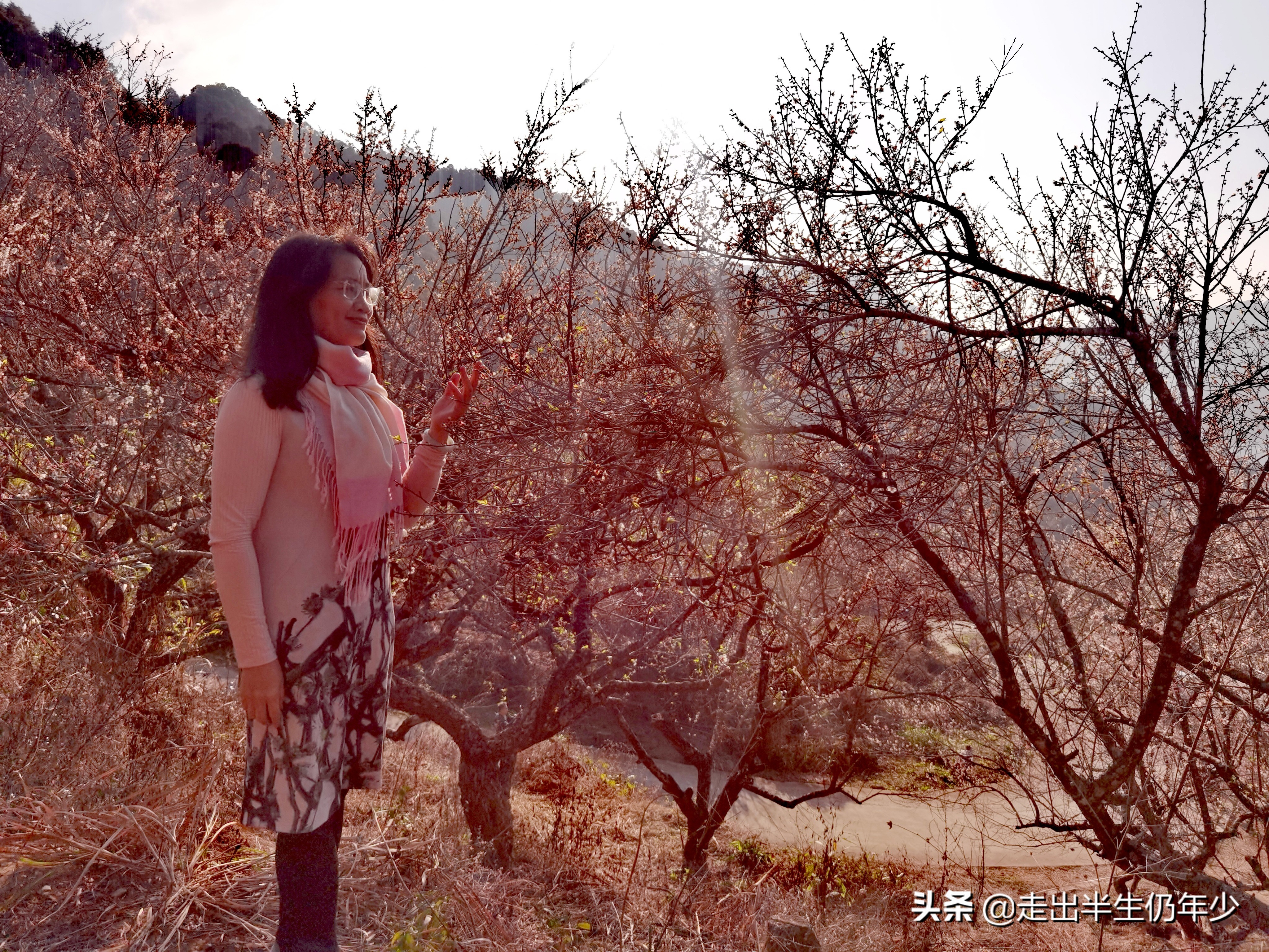 惠东梁化梅园今天开放吗,惠东旅游景点梁化梅园