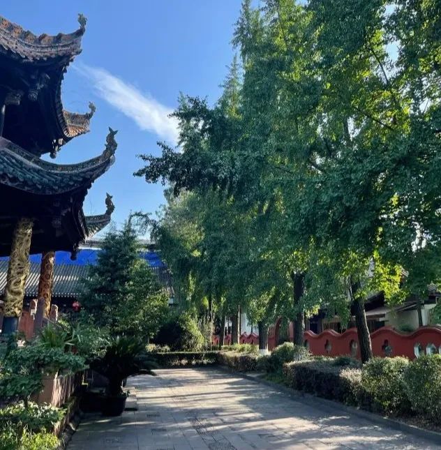 四川成都旅游攻略大全,成都旅游攻略带小孩自由行攻略