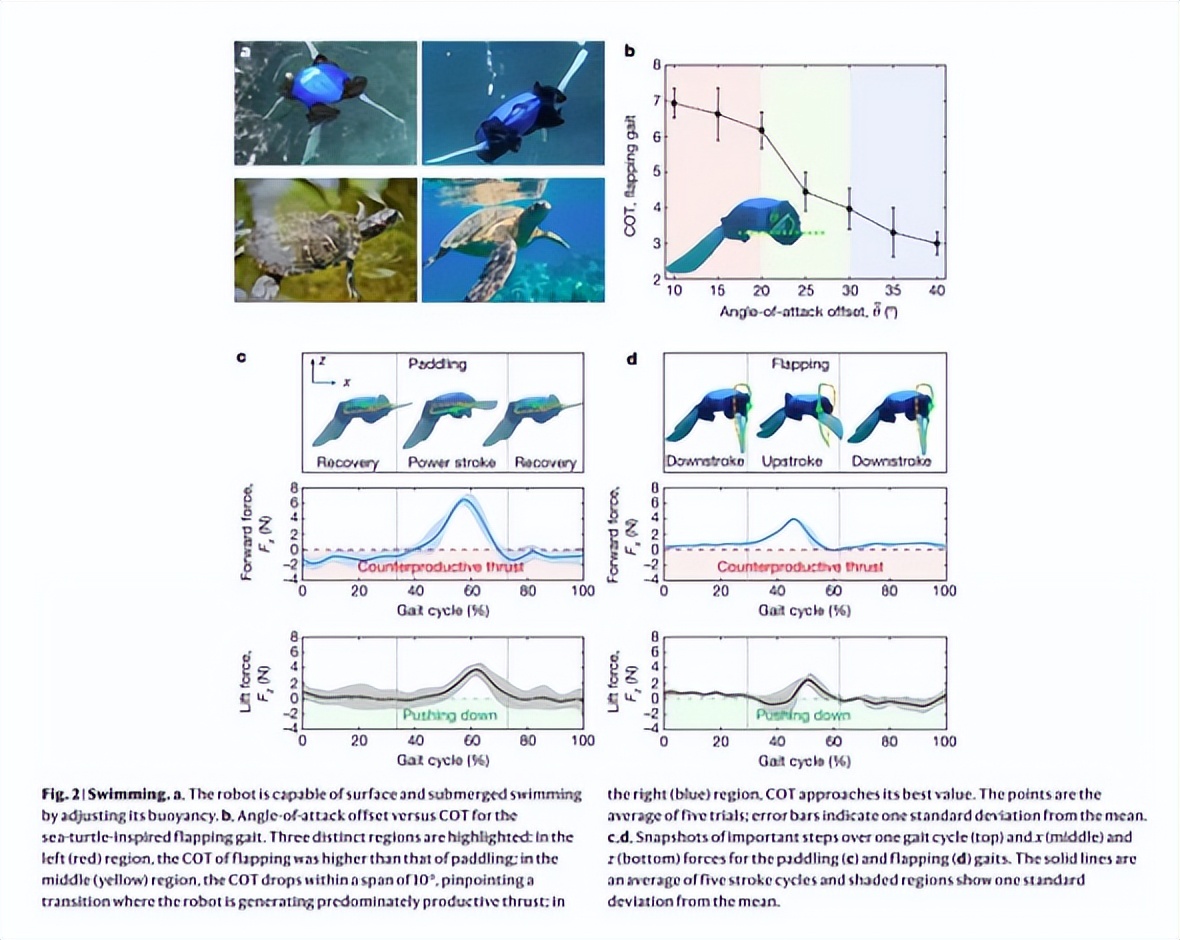 科企岛：海龟机器人，在水中和陆地上游泳