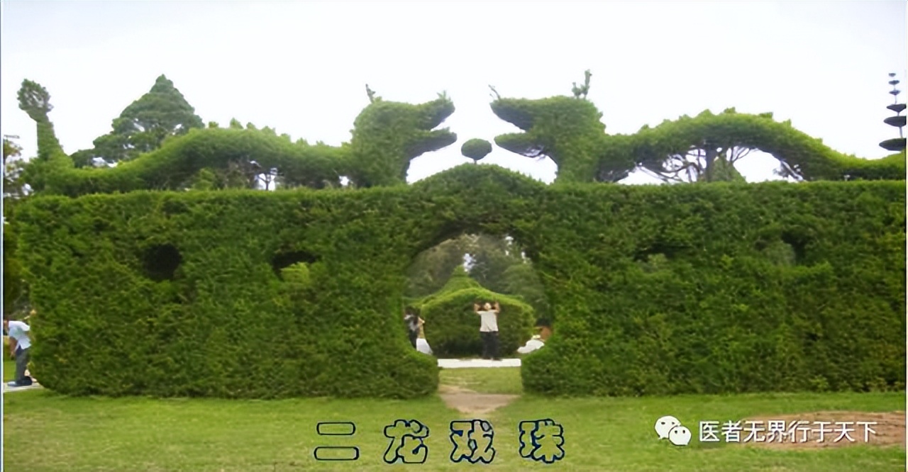 李冠义：图文诗诀赞颂家乡羲皇故都水城淮阳