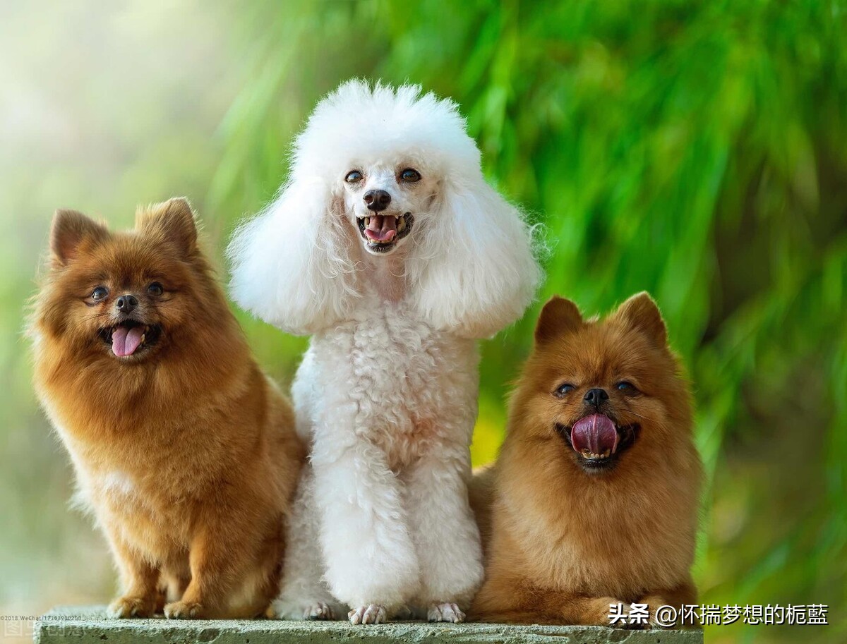 培养积极心态的十种方法,如何建立积极正能量的心态