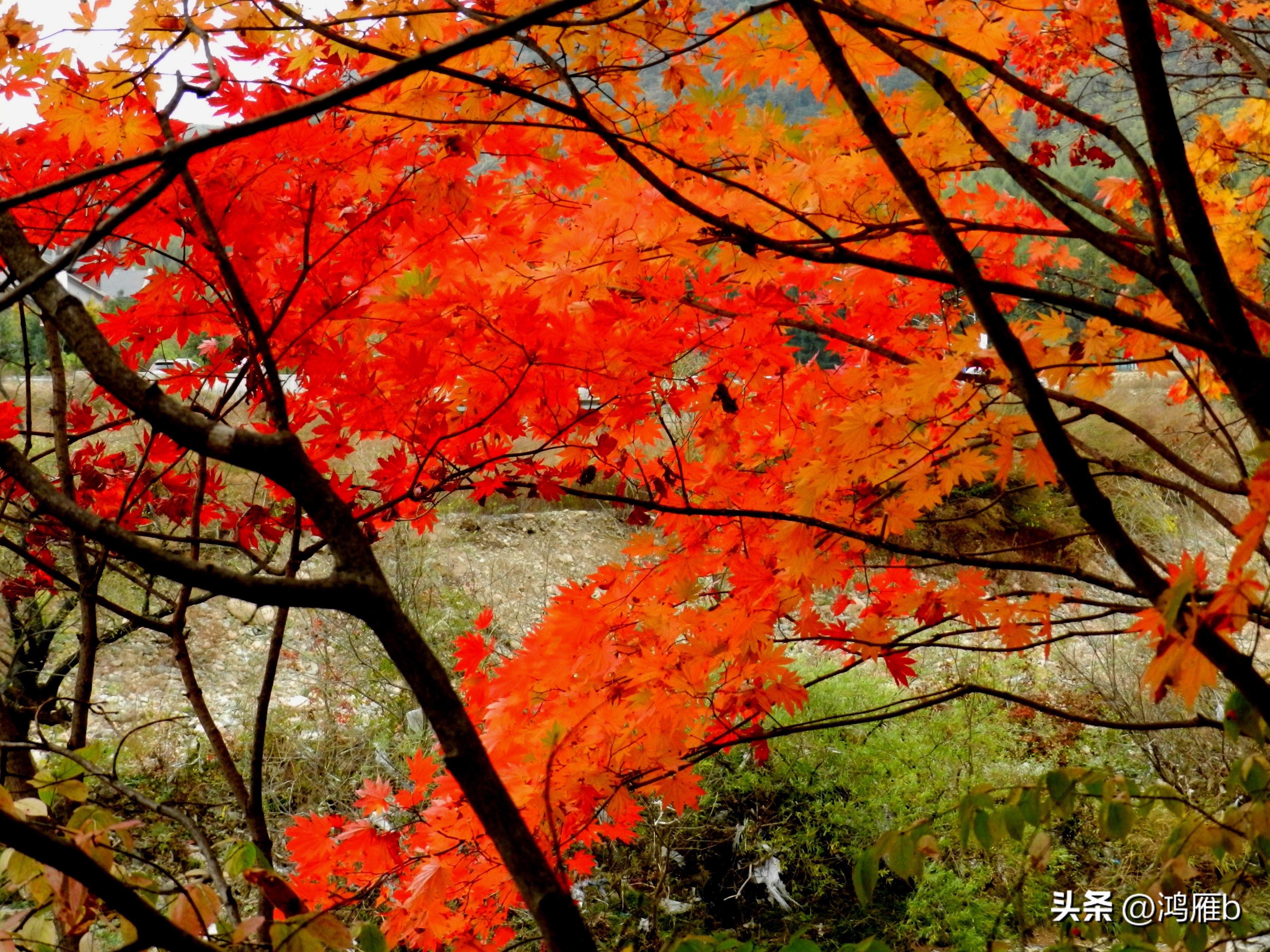 本溪温泉汤沟门票价格,本溪花溪沐枫雪温泉小镇