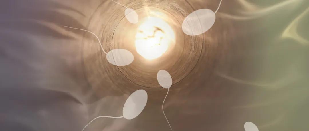 医生面色铁青：“阴性？你不认识字吗？看报告单上写的是什么？”