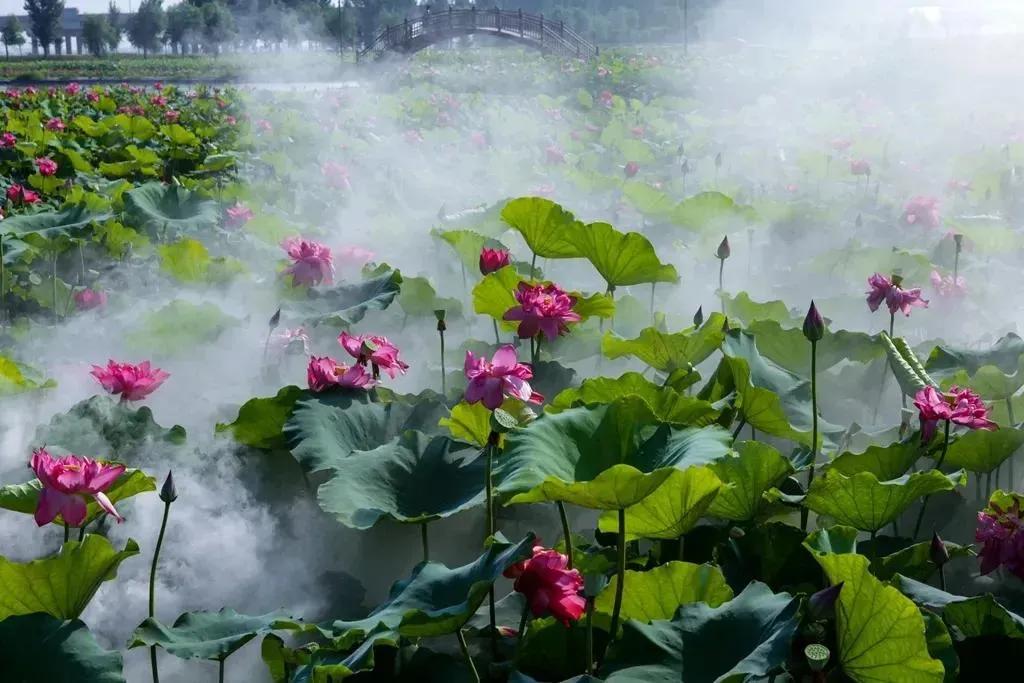 描写山的古诗词都有哪些,描写山的古诗20首