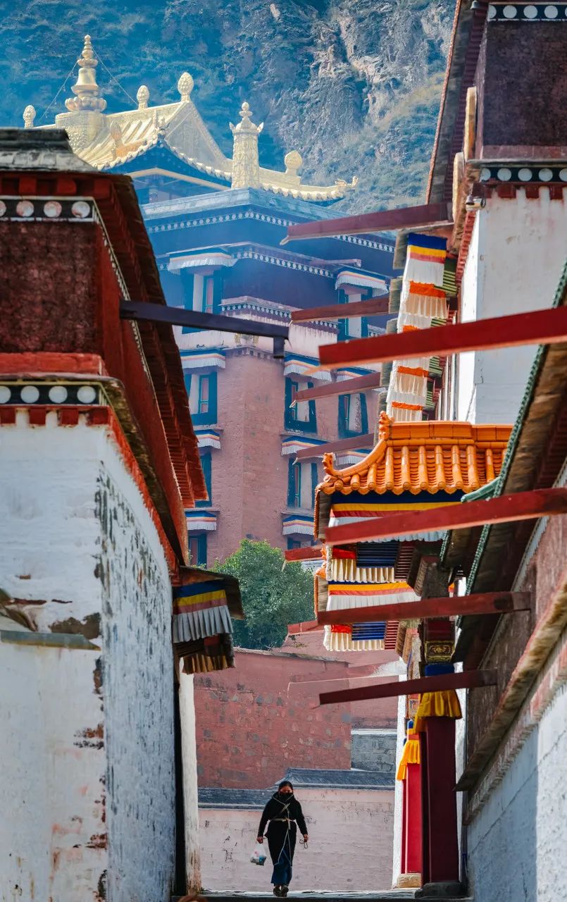 都去挤*疆新**？我选这个20°C的西北秘境