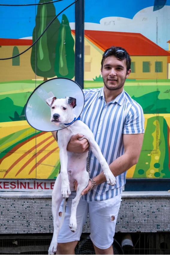 土耳其帅哥全部视频,土耳其的帅哥排行榜