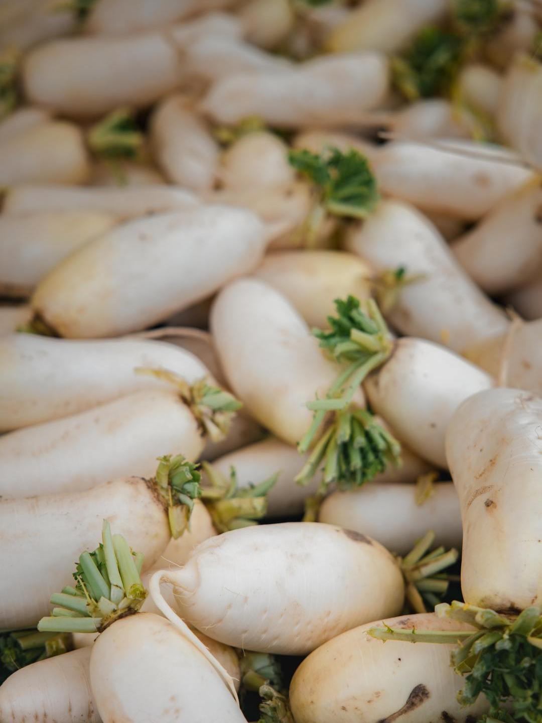 粤港澳的阳康们,都出动了