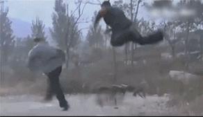 神剧包子变炸弹,抗战神剧包子炸弹