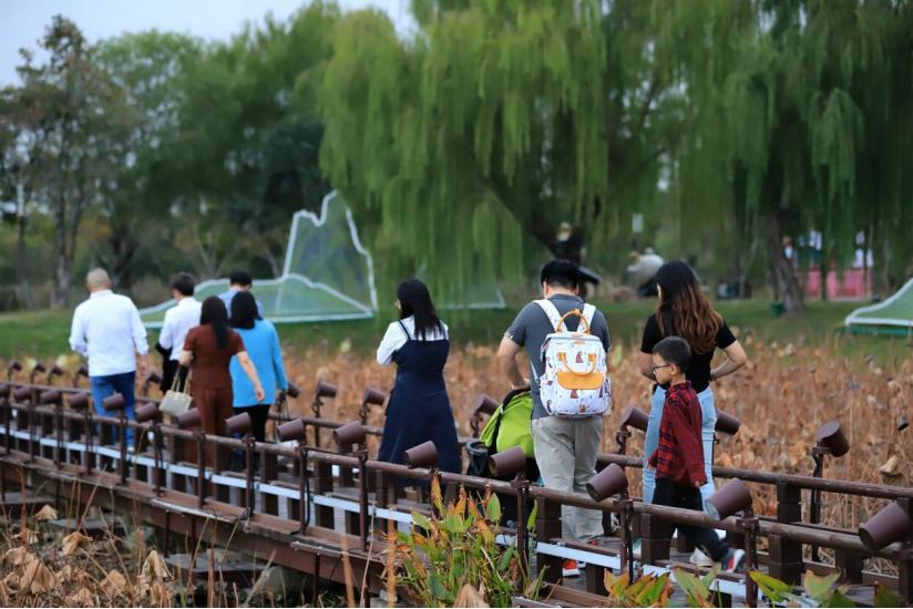 君到姑苏见人家尽枕河,君到姑苏见人家尽枕河完整版