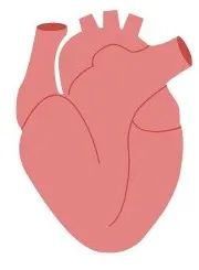 肝病出现脚肿脸肿还能活多久,肝病患者全身浮肿痒