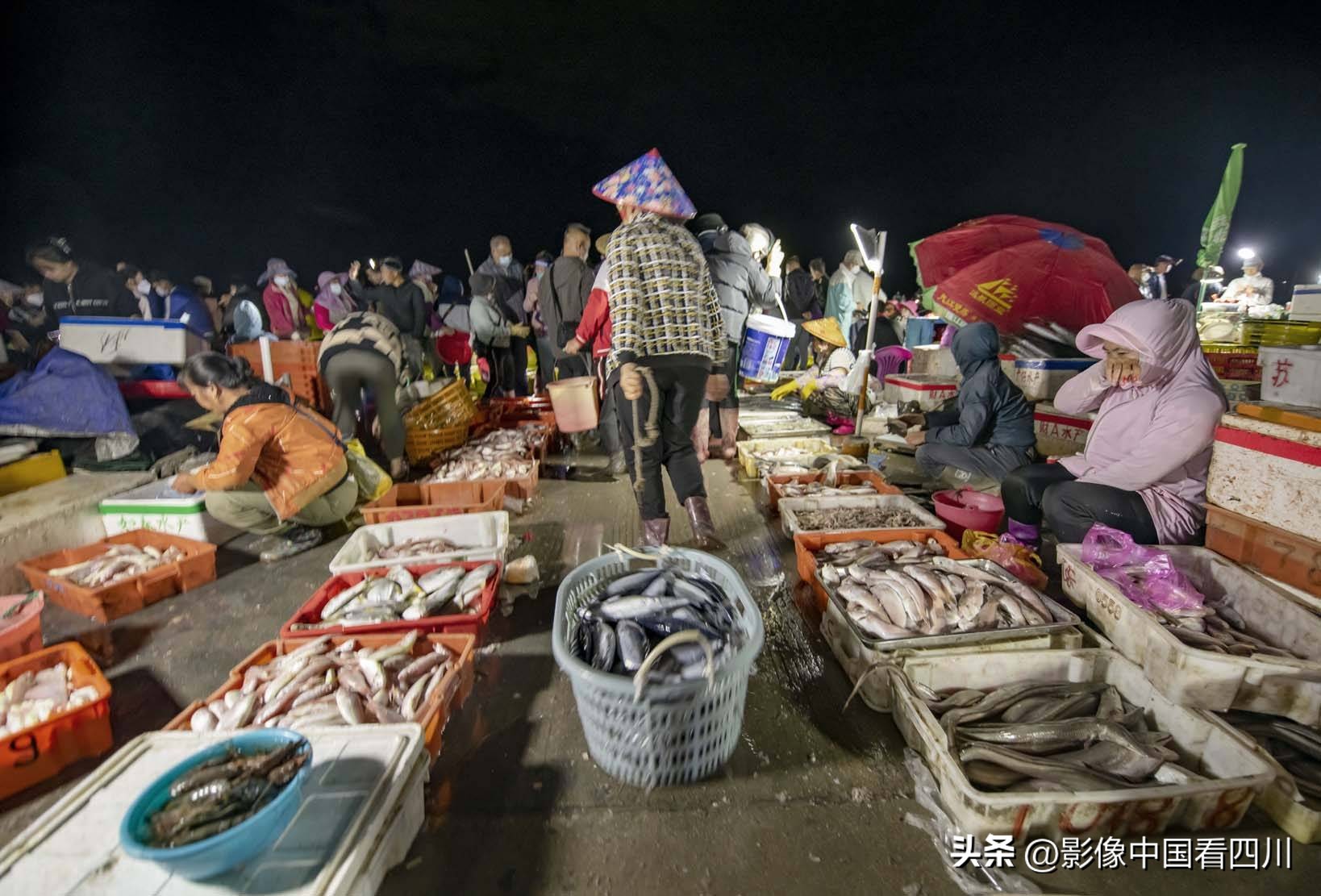 海南陵水新村疍家渔港,海南陵水水产市场