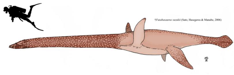 阿凡达2收服海怪,阿凡达驯服海怪