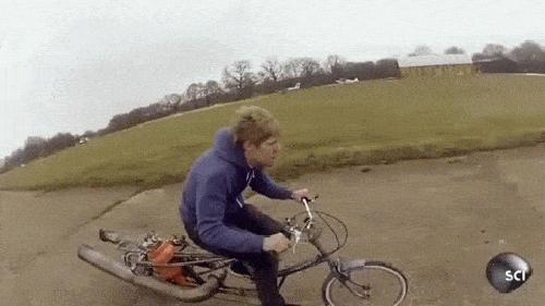 世界上最壮的牛照片,世界最壮的牛图片