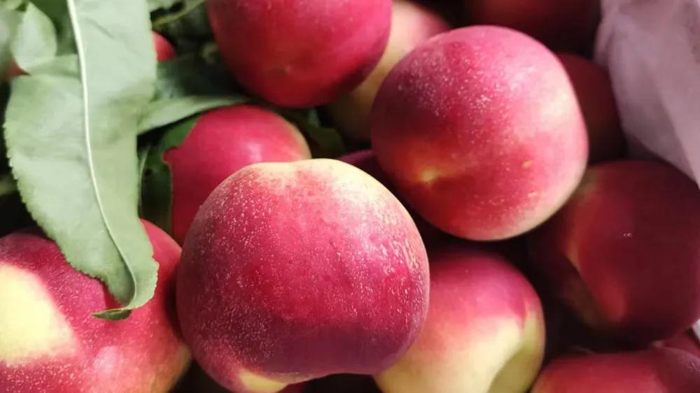 开水果店最容易赚钱的商业模式,怎么低成本开水果店赚钱