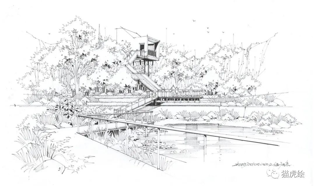 2022猫虎绘暑假手绘班招生简章「线上+线下」