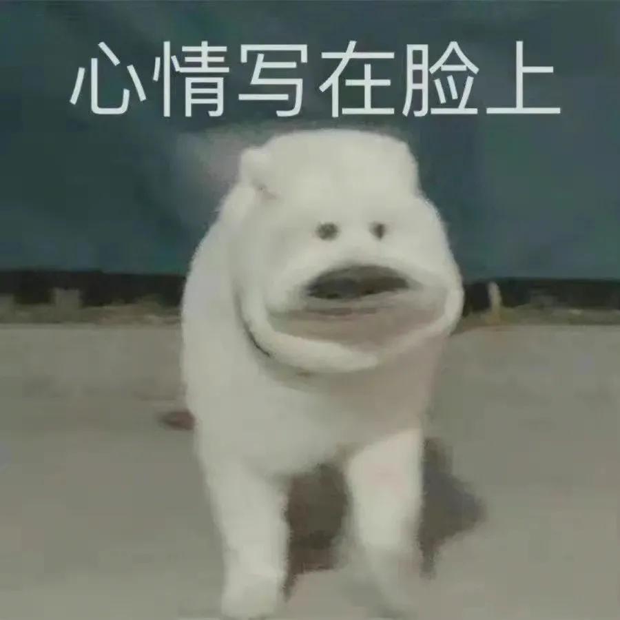 吃瓜群众表情包二次元,吃瓜群众表情包是什么意思