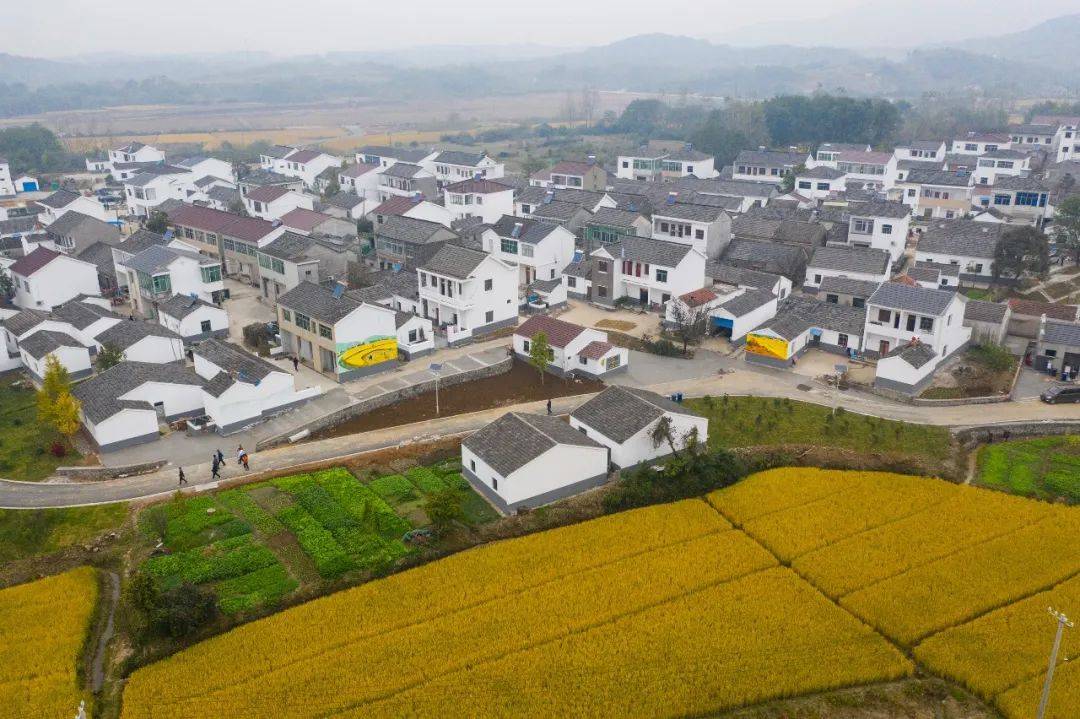 收购老房子是要干什么,农村收购老房子多少钱