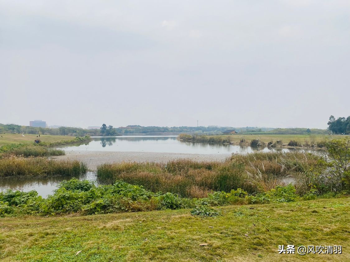 成都最差公园排名,成都主城区最大的公园