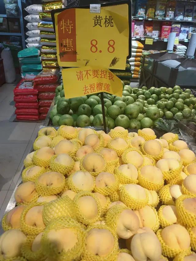 周星驰功夫没一个人能打的,少林功夫足球周星驰搞笑段