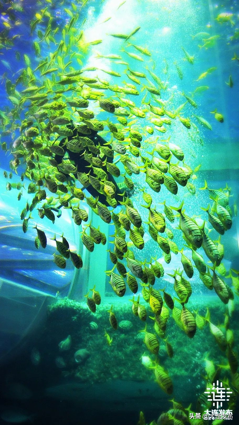 最新旅游景区发展,杭州大明山风景区五一攻略