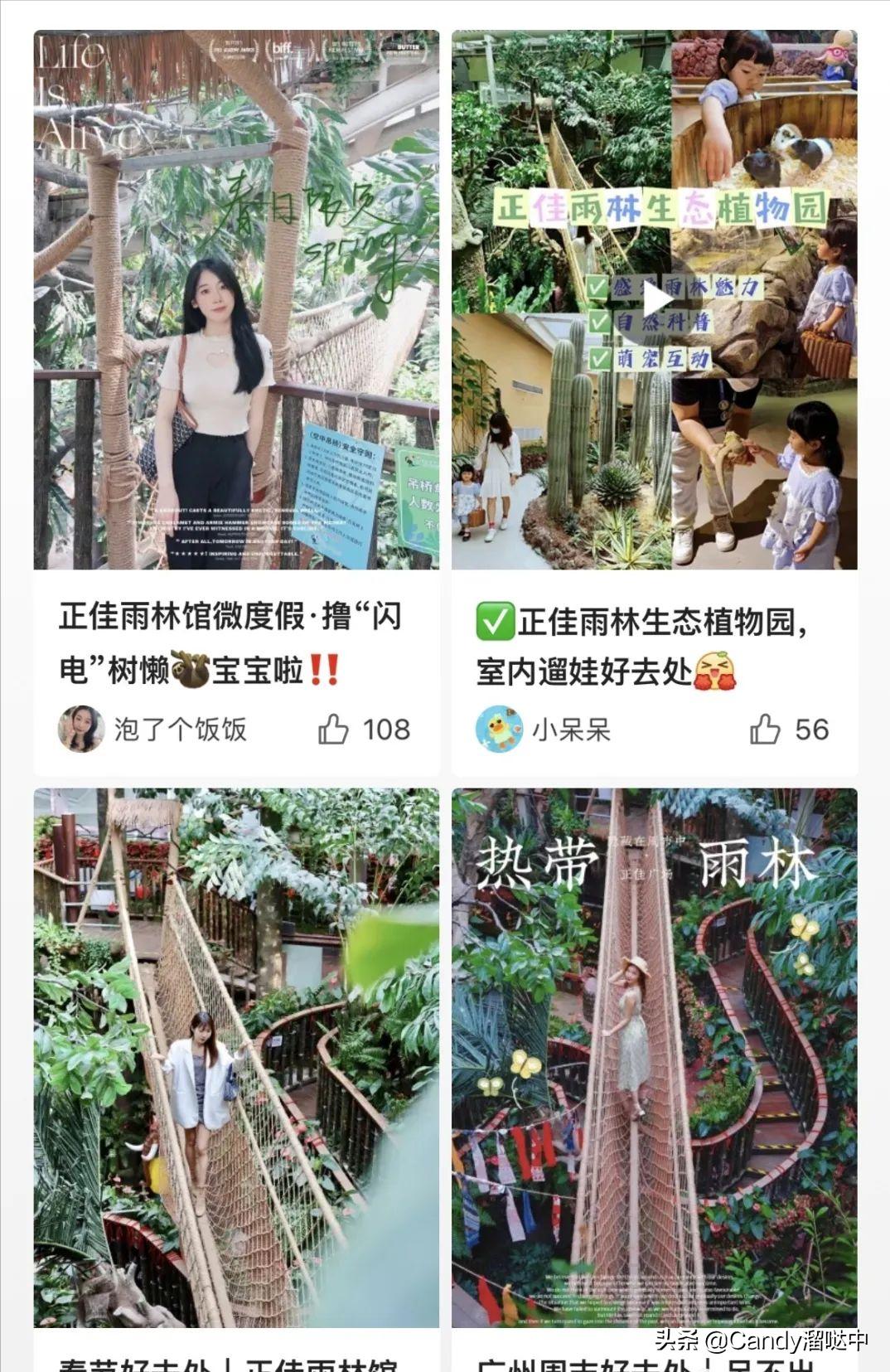 广州自由行攻略最详细,广州旅游打卡攻略