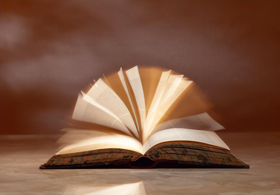 辽宁“女色贪”落马：陪睡五十位领导，*欲色**贪婪整容敛财数千万