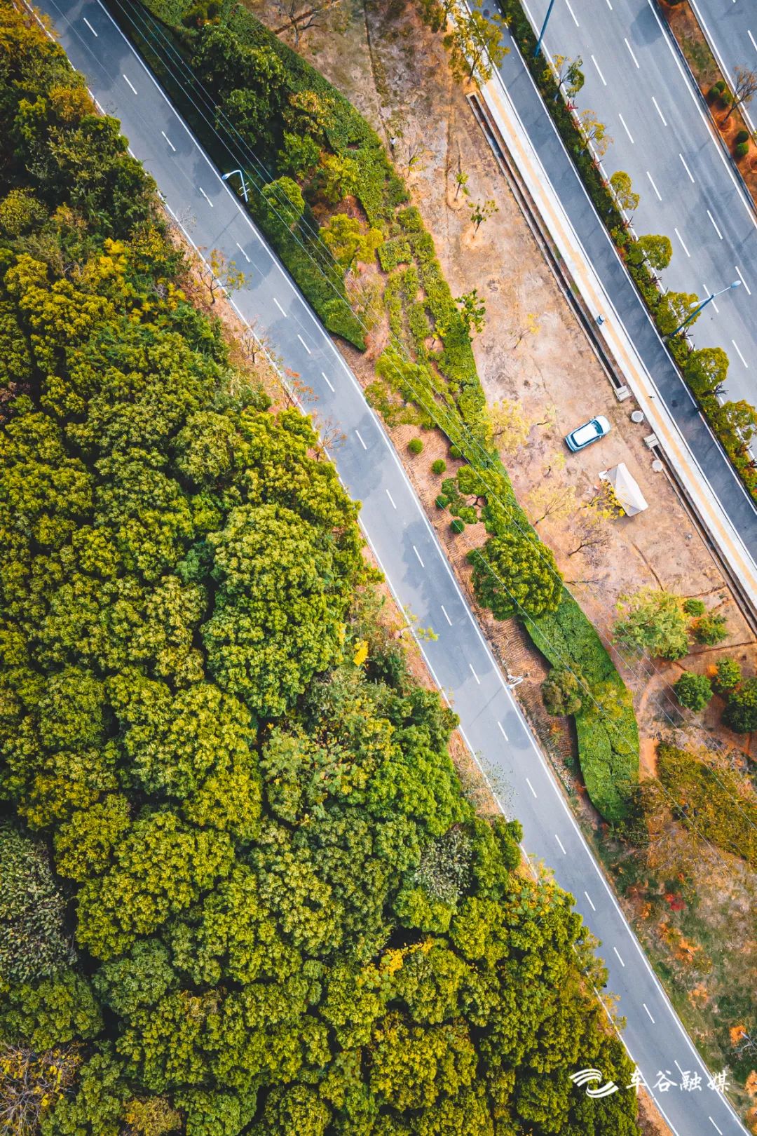 最美绿道骑行攻略,淘金山骑行绿道和东湖骑行绿道