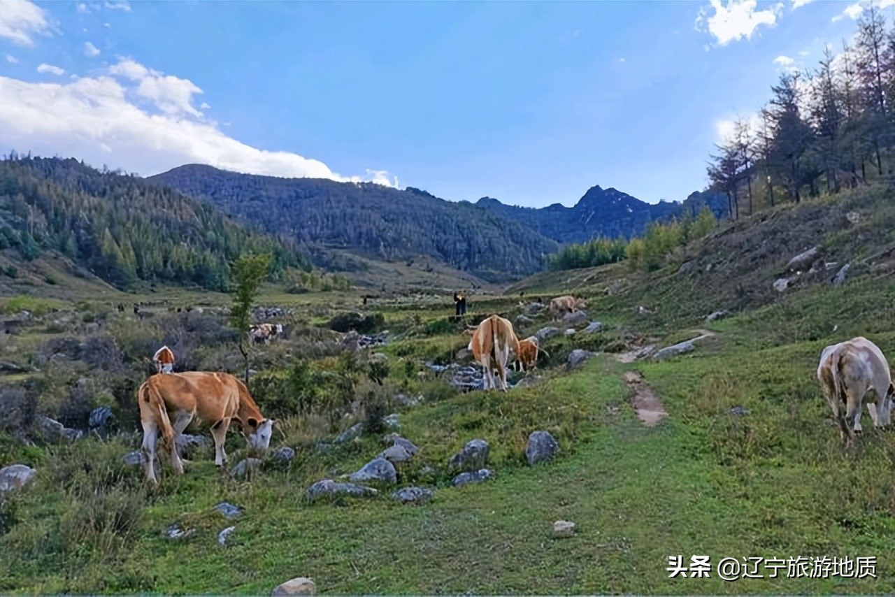 旅游山西古村落,山西新打造的古村空无游客