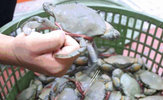 死螃蟹放冰箱7天能吃吗,死螃蟹高温处理能吃吗