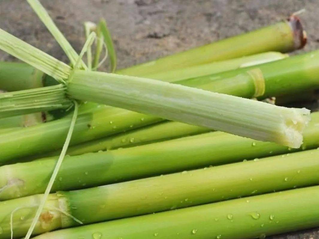 只有农村才有的水果你吃过几种,农村最喜欢的十种水果