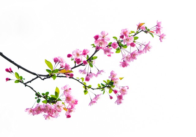 郑州王教授承认不轨之事，高知为什么不能洁身自好？