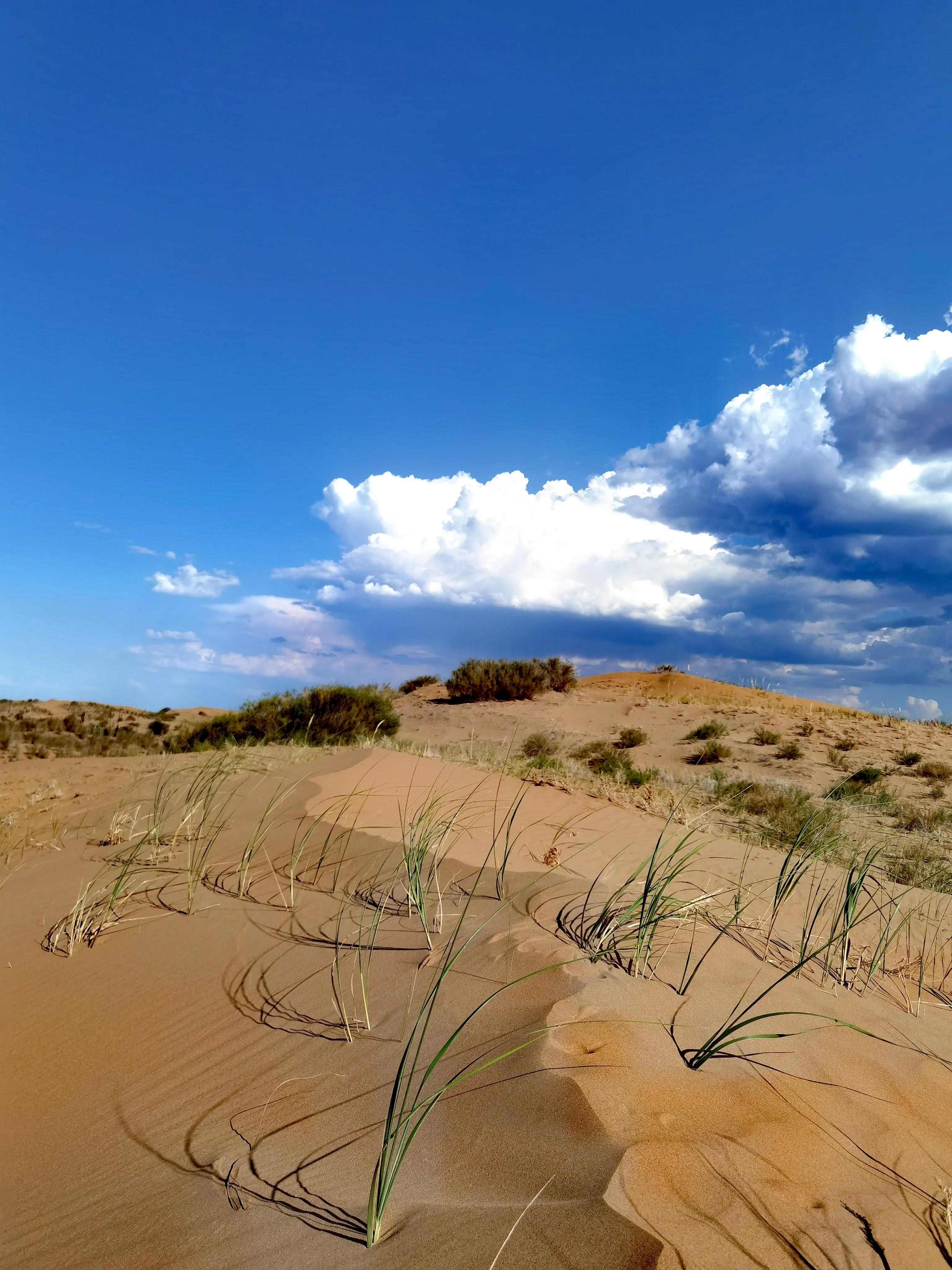 朱元璋讨饭经历,讨饭是个技术活