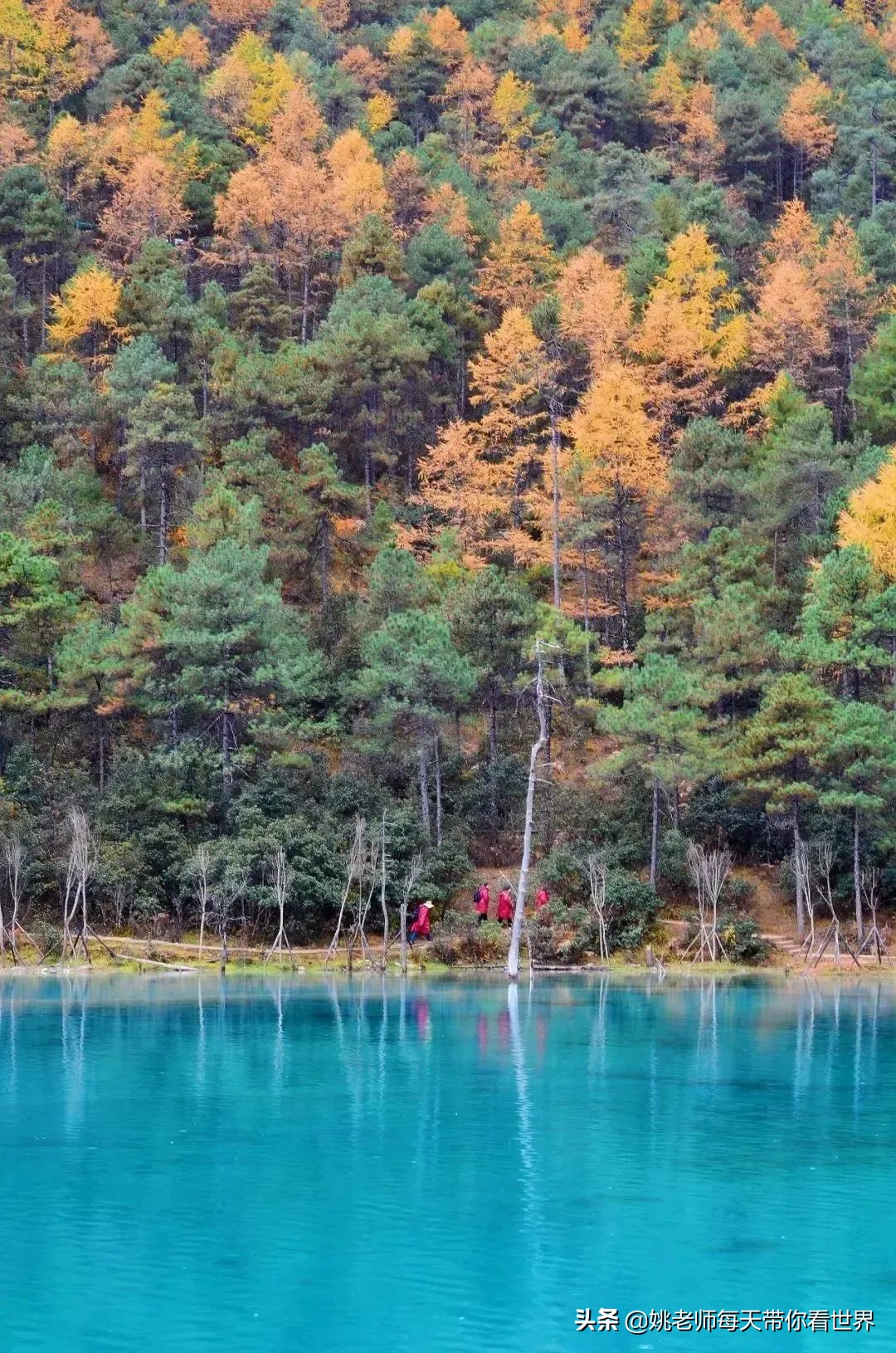 旅行云南团购,旅行云南推荐
