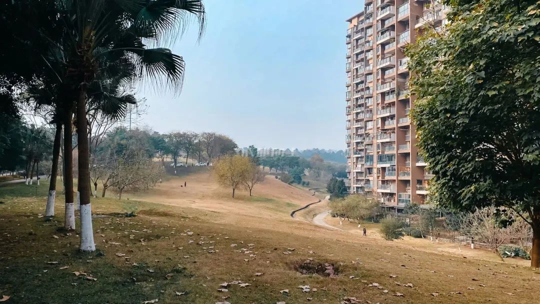 熊猫基地扩建园区,熊猫基地扩建最新