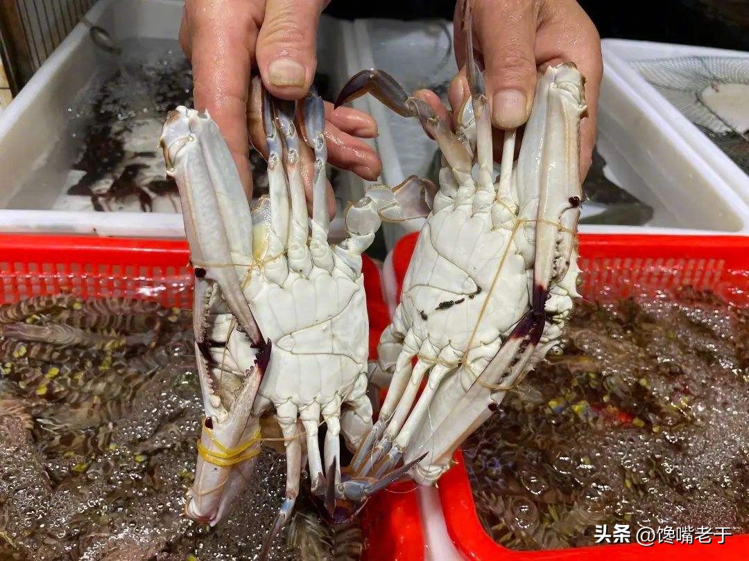 挑选螃蟹的秘籍大家学起来,买螃蟹的时候怎么挑肉和蟹黄多的