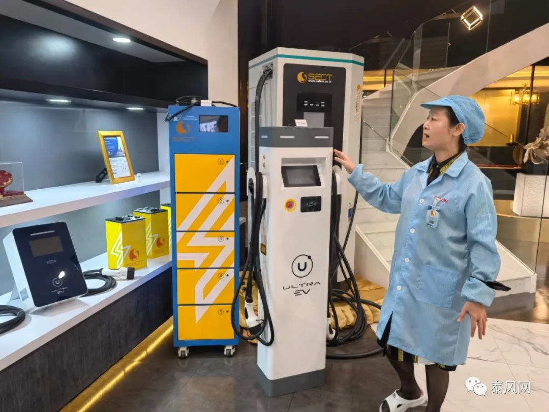 泰华女企业家卢嫣打造“天龙电子”企业泰中文联拜访团参观取经