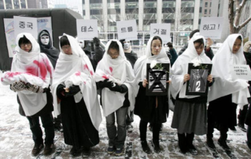 开LED卡车游街、青瓦台*愿请**，韩国玩家怎样成为“维权先锋”？