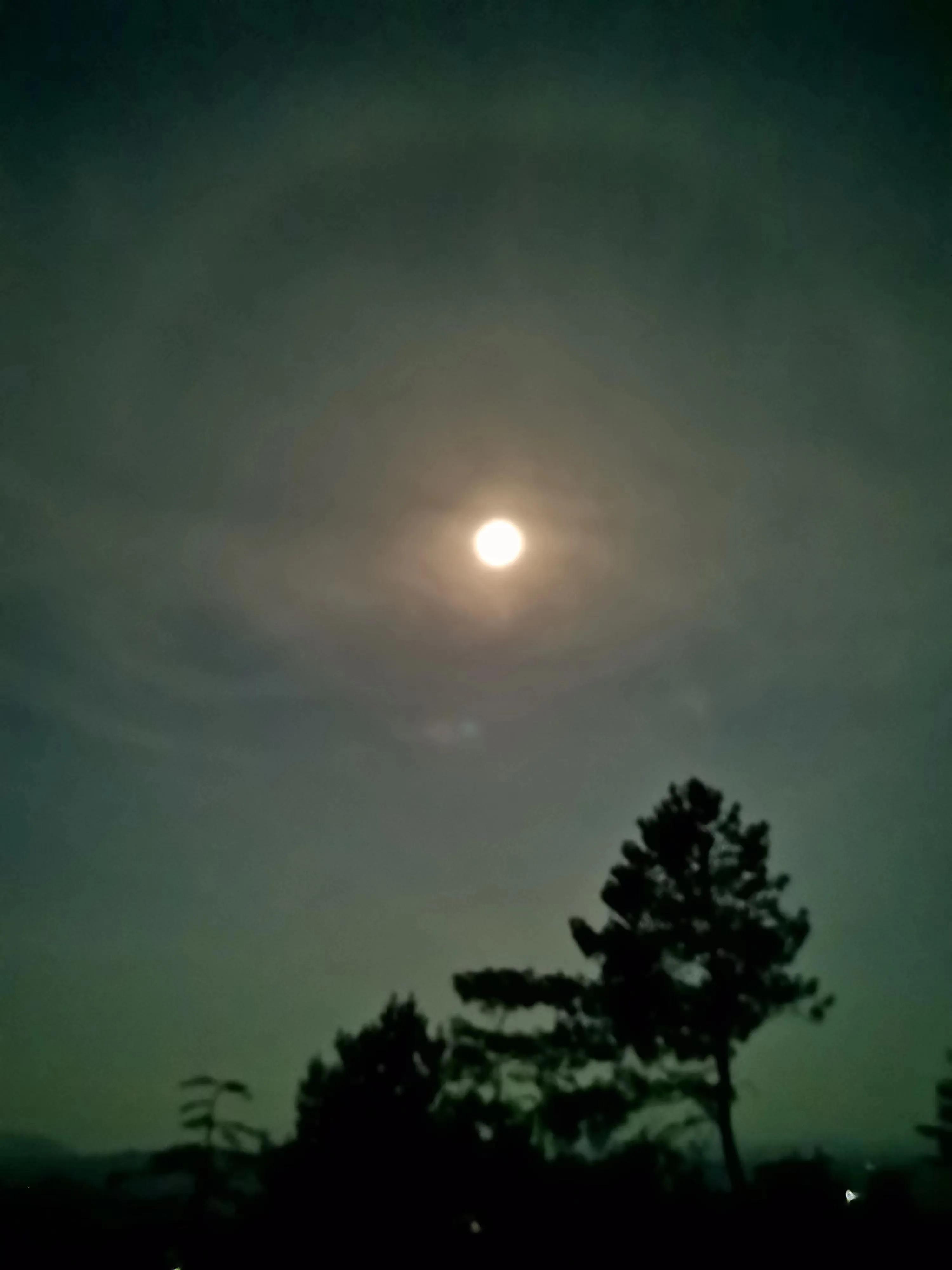 原创诗词绝句10首,七言绝句古诗一首