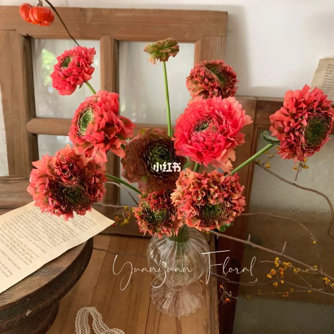 三月花事Vol.2|那些属于女神们的花